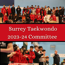 Image result for Surrey Taekwondo