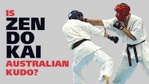 Image result for Horndean Zen Judo Club