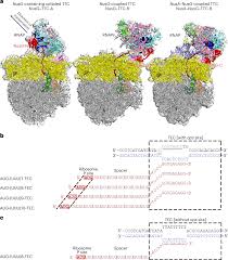 Image result for The 3E`s Ttc