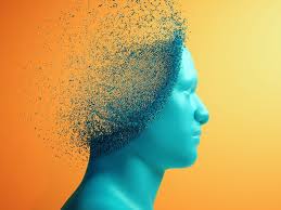 Image result for consciousness