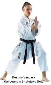 Image result for Sandokai Karate