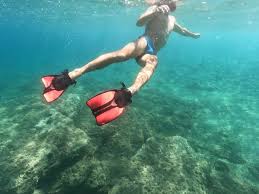 Image result for Ruislip Snorkelling Club