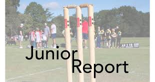 Image result for Horsley & Send Cricket Club