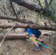 Image result for site:net pino◆MatthewZ8E