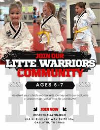 Image result for Impact Martial Arts