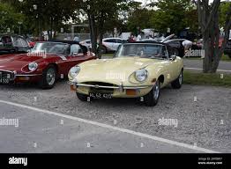 Image result for Turmeric Yellow 1979 Jaguar