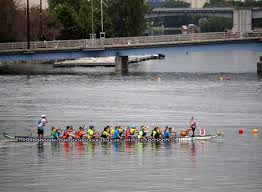 Image result for Bay Dragons CC