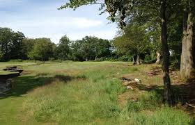 Image result for Brokenhurst Manor Golf Club