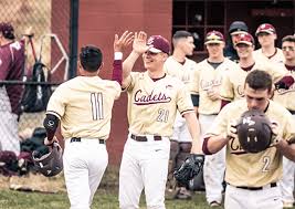 Image result for Norwich Iceni Baseball Club