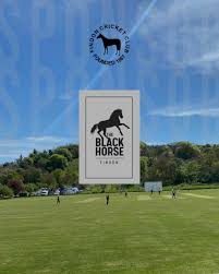 Image result for Findon Cricket Club