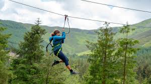 Image result for Go Ape! Whinlatter