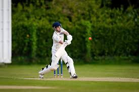 Image result for Old Tauntonians and Romsey Cc