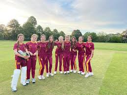 Image result for Pyrford Cricket Club