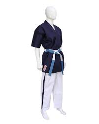 Image result for Yoseikan Budo England