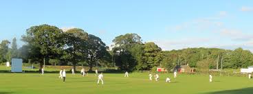 Image result for Wrecclesham Cricket Club