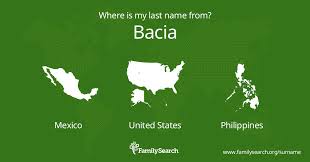 Image result for bacía