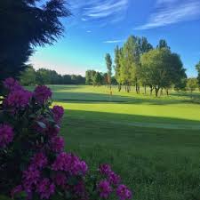 Image result for Downshire Golf Complex