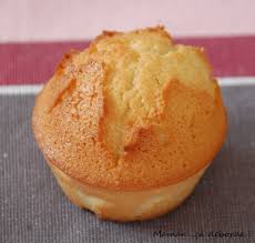 Image result for visitandines