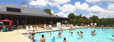 Image result for Sedgefield 75 Swimming Club