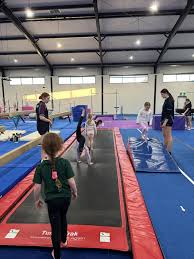 Image result for Swallows Trampoline Club