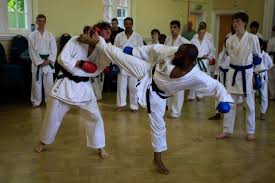 Image result for Haslemere Karate Club