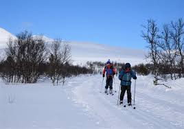 Image result for Tyneside Loipers