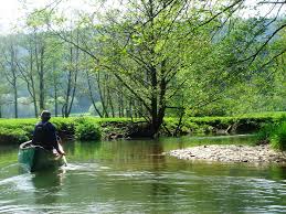 Image result for Waveney Valley Canoe Club