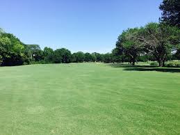 Image result for Thorn Park L T C