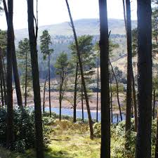 Image result for Trimpley Anglers Association