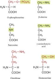 Image result for  `   C   h | [ Y
