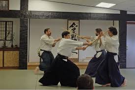 Image result for Aikido - Shobu UK