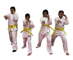 Image result for Colchester Wado Ryu Karate