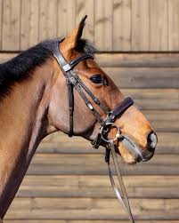 Image result for Jp-Sheffield Eventing