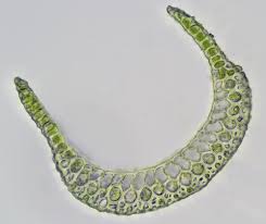 Attēlu rezultāti vaicājumam “Campylopus pyriformis sporophyte”