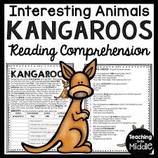 Image result for Reading Kangaroos