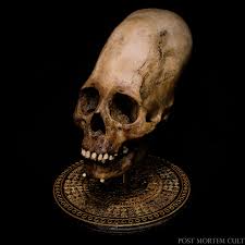 Image result for elongated skulls