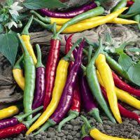 Afbeeldingsresultaat voor cayenne blend hot pepper