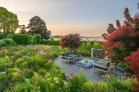 Attēlu rezultāti vaicājumam “Cribraria rubiginosa stalked”