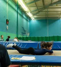 Image result for Swallows Of Helston Gymnastics Club