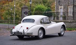 Image result for Old English White 1955 Jaguar