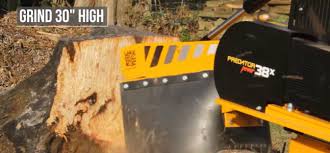 Image result for Northwich Predators