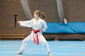 Image result for Fife Shotokan Karate Club
