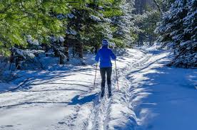 Image result for Scandinavian slope and cross country skiing