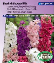 Image result for Rittersporn