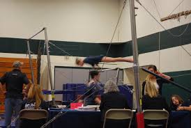 Image result for Gym Stars