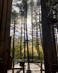 Image result for The Go Ape Experience (Delamere Forest)