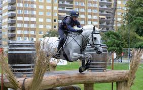 Image result for Jp-Sheffield Eventing