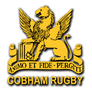 Image result for Cobham Rugby Club