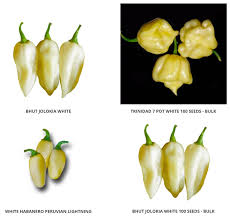 Afbeeldingsresultaat voor white habanero hot pepper