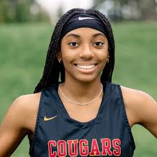 Image result for Cornwall Cougars